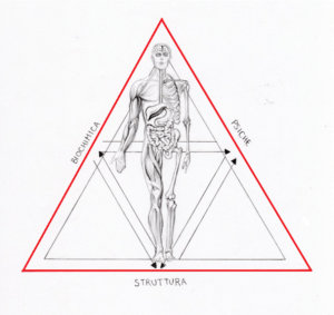 Il Triangolo della Salute